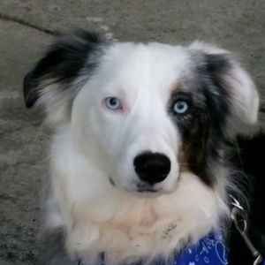 Meet your Posher, Joseph